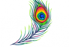 Design sans titre (1)